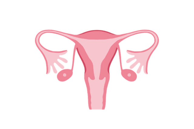 生理周期で変化する骨盤の動きに対応できない